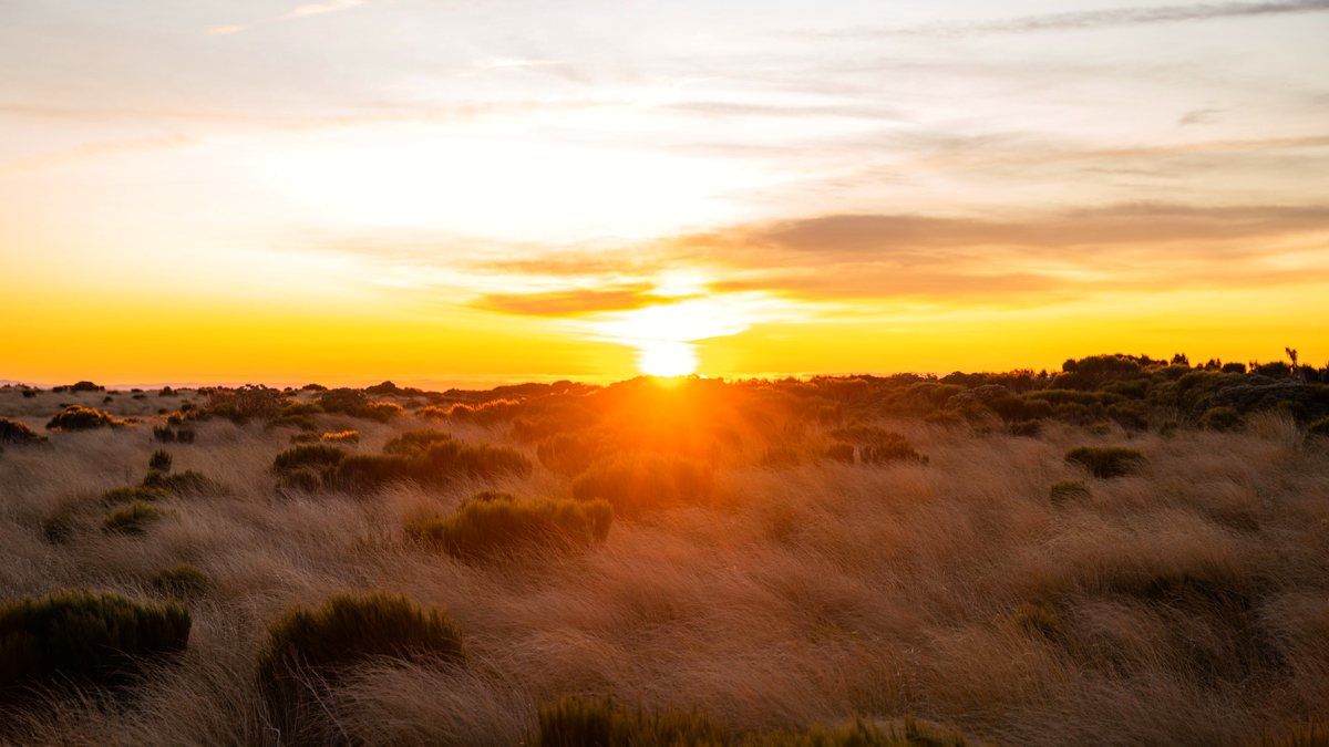 Sunrise breaking over an open field